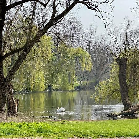 Strasbourg, Appartement Cosy Au Bord De L Eau Esterno foto