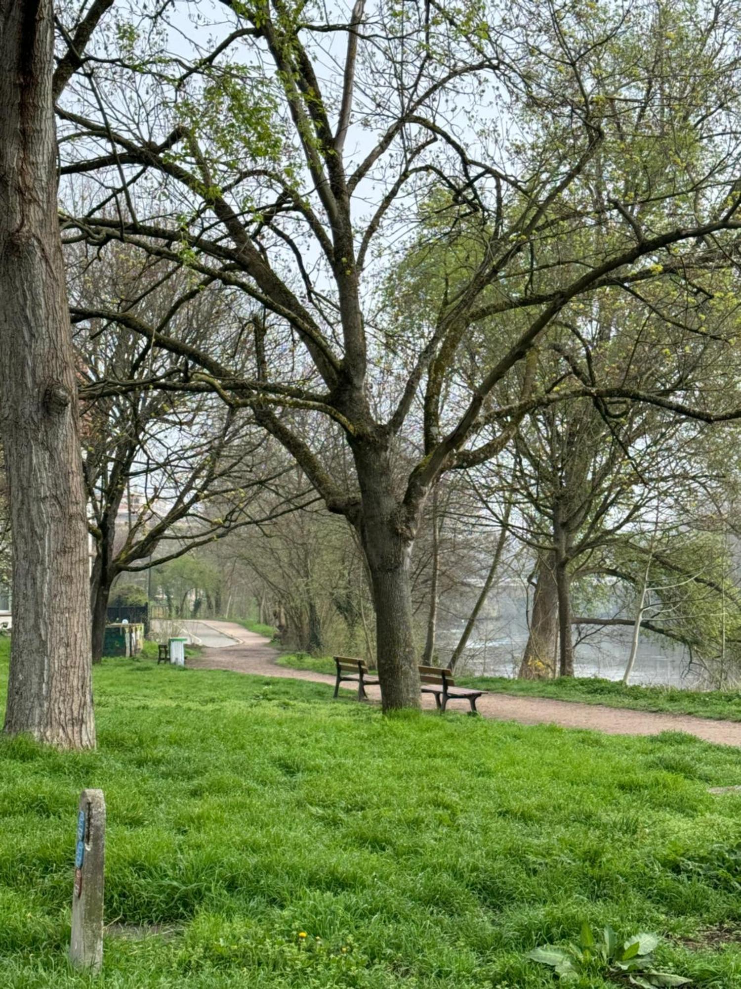 Strasbourg, Appartement Cosy Au Bord De L Eau Esterno foto