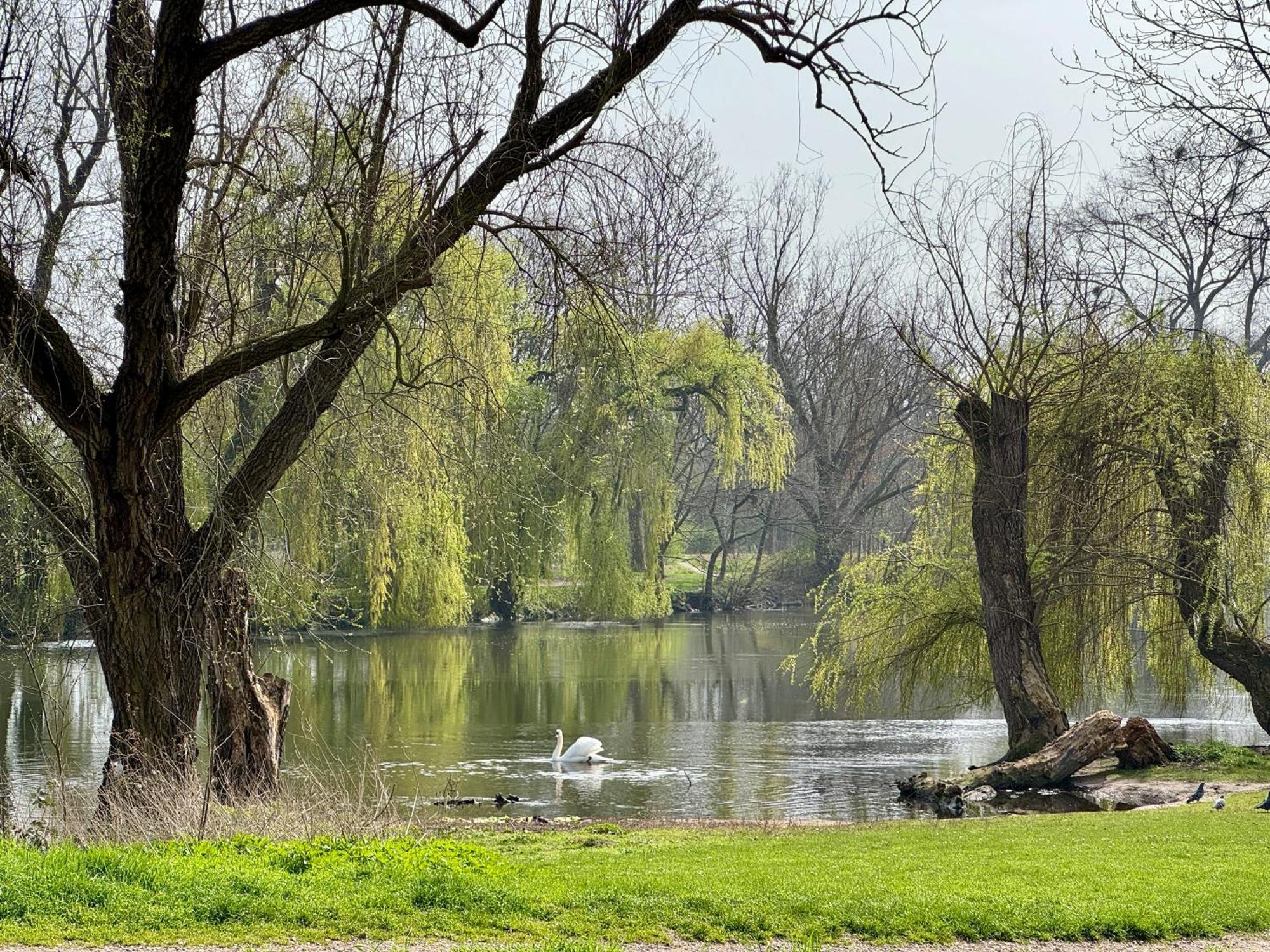 Strasbourg, Appartement Cosy Au Bord De L Eau Esterno foto
