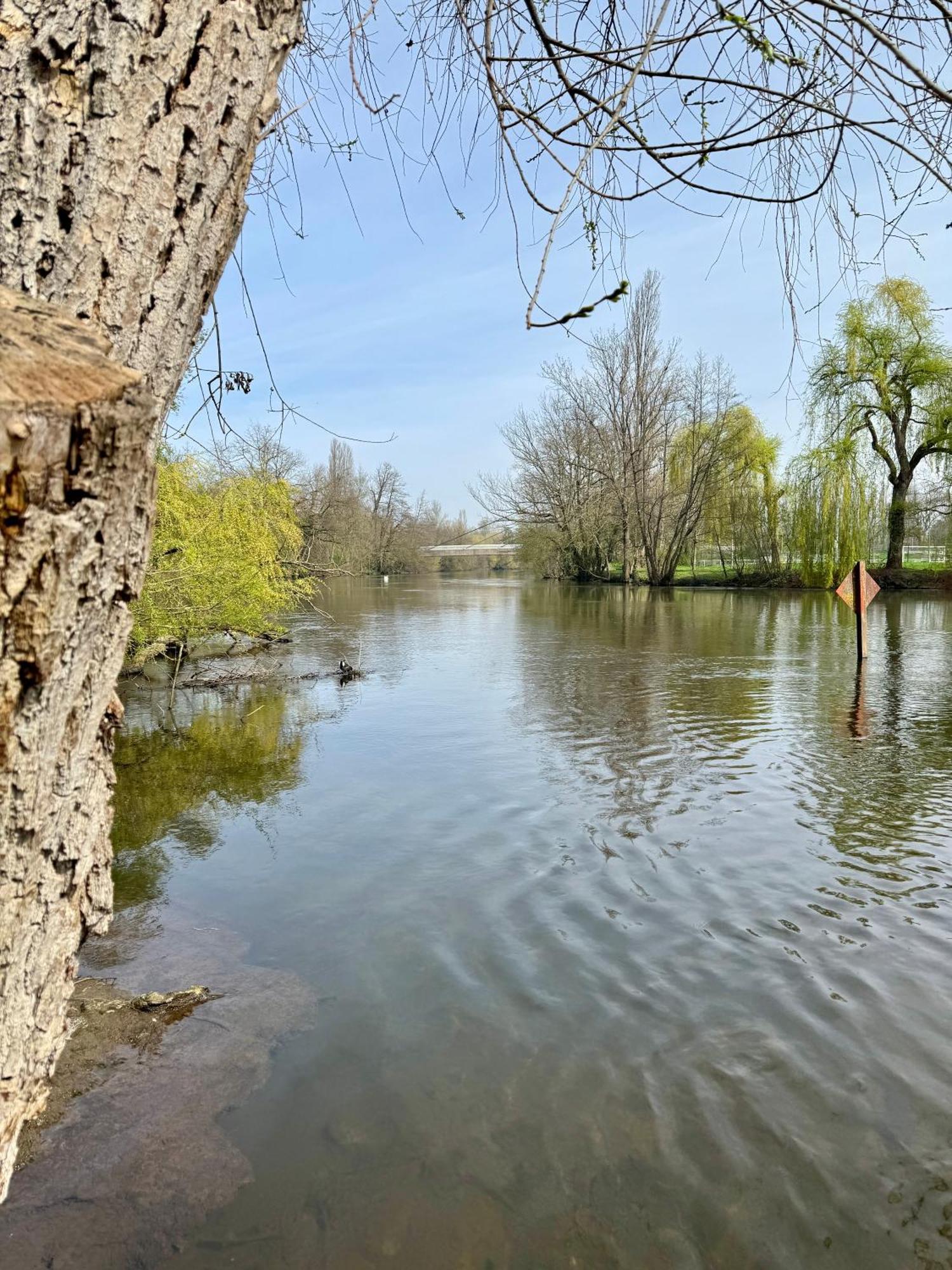 Strasbourg, Appartement Cosy Au Bord De L Eau Esterno foto